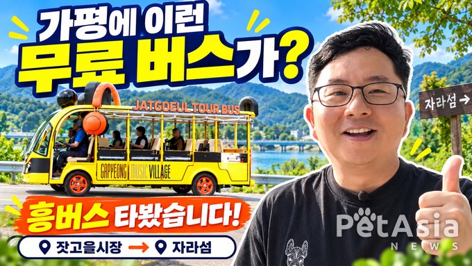 가평잣고을 시장 골목에서 자라섬까지…무료 ‘흥버스’로 만나는 가평의 두 풍경