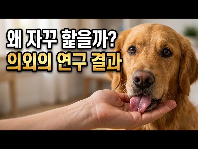 “강아지가 핥는다고 다 사랑은 아니다”…보호자가 놓치기 쉬운 ‘혀의 신호’