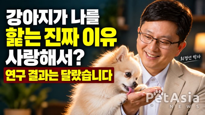 “강아지가 핥는다고 다 사랑은 아니다”…보호자가 놓치기 쉬운 ‘혀의 신호’
