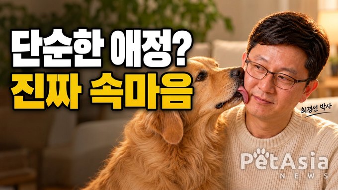 “강아지가 핥는다고 다 사랑은 아니다”…보호자가 놓치기 쉬운 ‘혀의 신호’