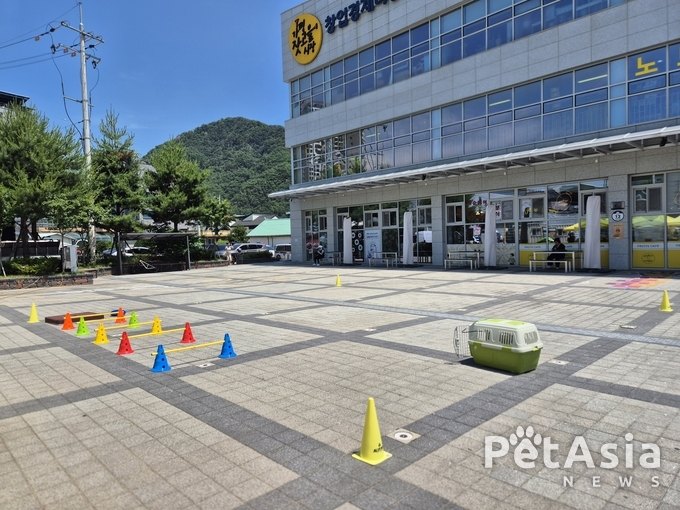 무더위도 막지 못한 반려견 사랑, 가평잣고을시장에 열린 행동교정 상담