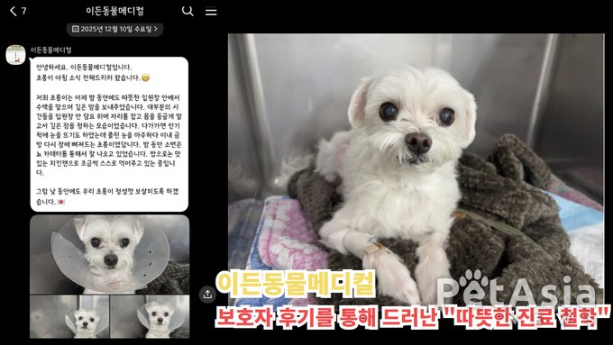 이든동물메디컬, 보호자 후기 통해 드러난 ‘따뜻한 진료 철학'
