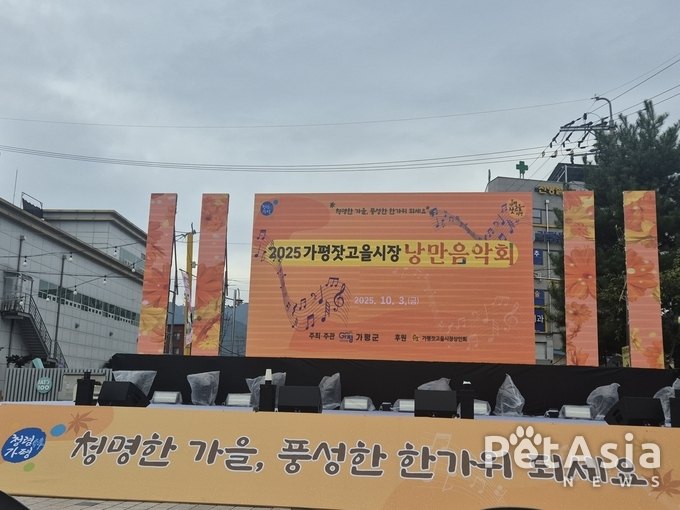 전통시장에 울려 퍼지는 낭만의 선율, 가평잣고을시장 낭만음악회