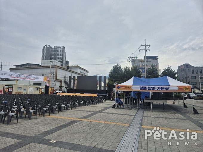전통시장에 울려 퍼지는 낭만의 선율, 가평잣고을시장 낭만음악회