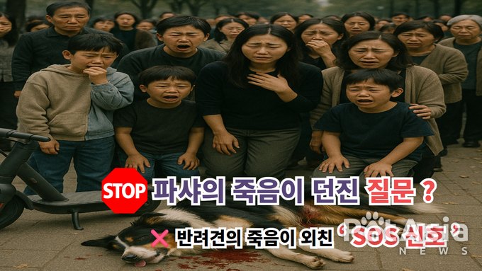 천안 파샤 사건, 전기자전거에 끌려 죽은 반려견, 이제는 법이 바뀌어야 한다