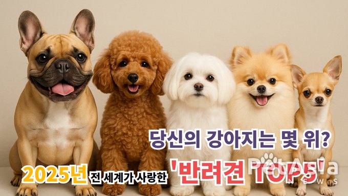 유튜브 강사모TV, ‘2025 전 세계가 사랑한 반려견 TOP5’ 발표