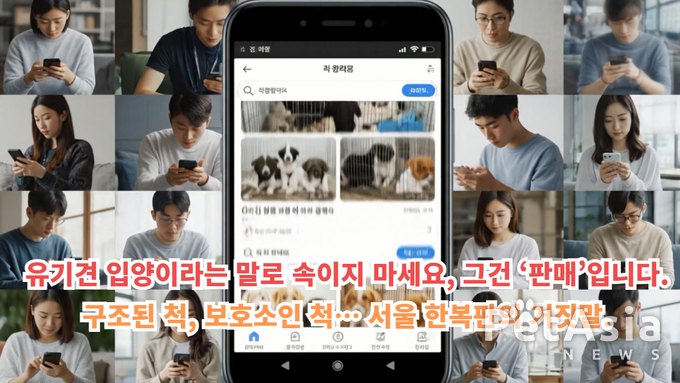 ‘유기견 입양’ 검색했더니 펫샵이 떴다… 알고 보니 변종 펫샵의 덫