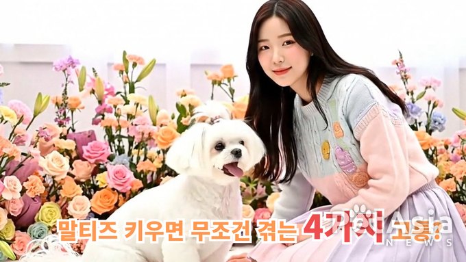 말티즈, 귀여움 속에 숨겨진 고난도 책임감 요구
