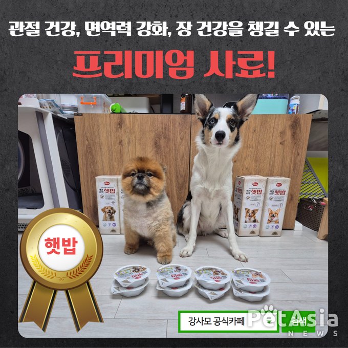 반려견 건강의 모든 해결책! 애견비책 햇밥 건식사료 4종 강사모 체험단 모집 시작!