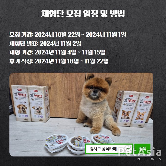 반려견 건강의 모든 해결책! 애견비책 햇밥 건식사료 4종 강사모 체험단 모집 시작!