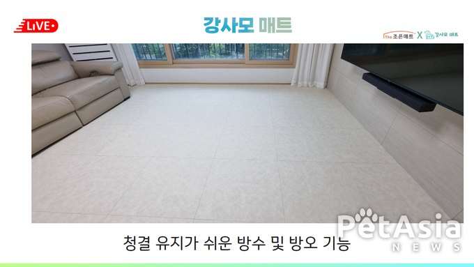인천 반려견 보호자들의 선택, 프리미엄 강사모 매트 인기 급상승
