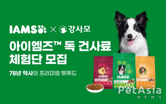 강사모 공식카페, 아이엠즈™ 독 건사료 체험단 모집 진행 중