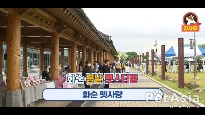 "화순 봄날 펫스티벌", 반려동물과 함께한 성숙한 문화축제 개최